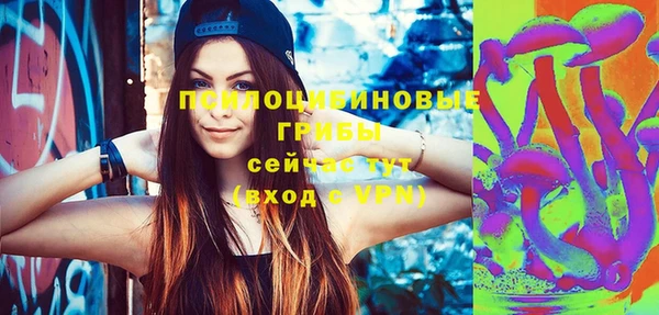 мдпв Арсеньев